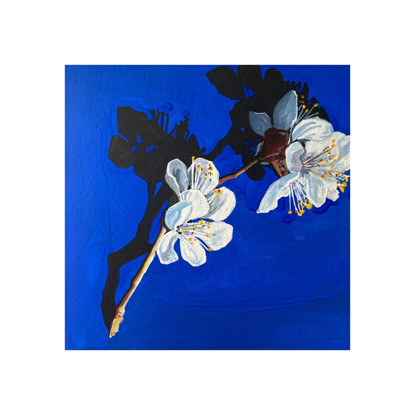 Apricot Blossoms Print