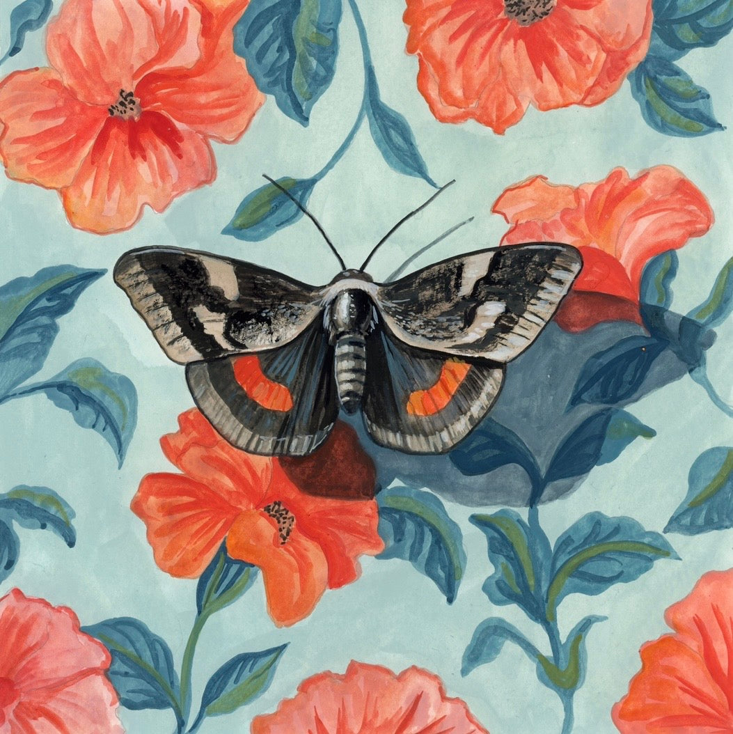 Moth Mood 8x8