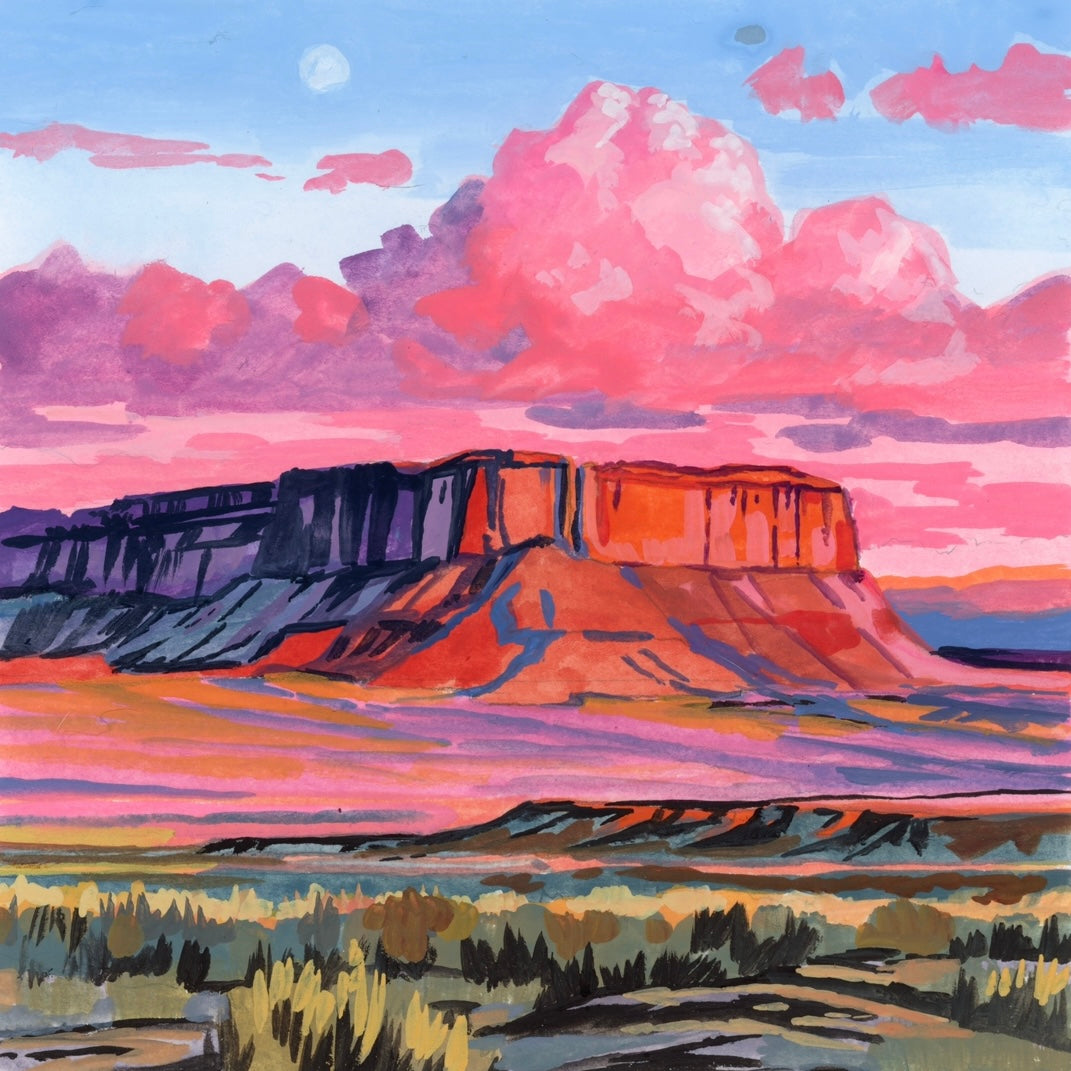 Pink Mesa Reverie