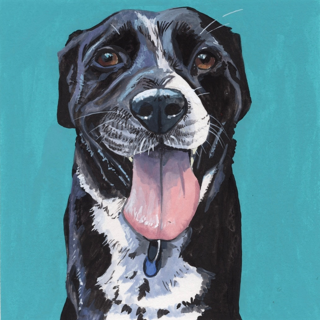 Pet Commission