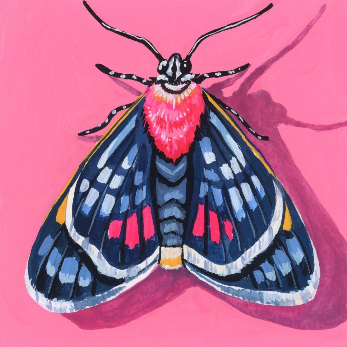 Velvet Wings 1