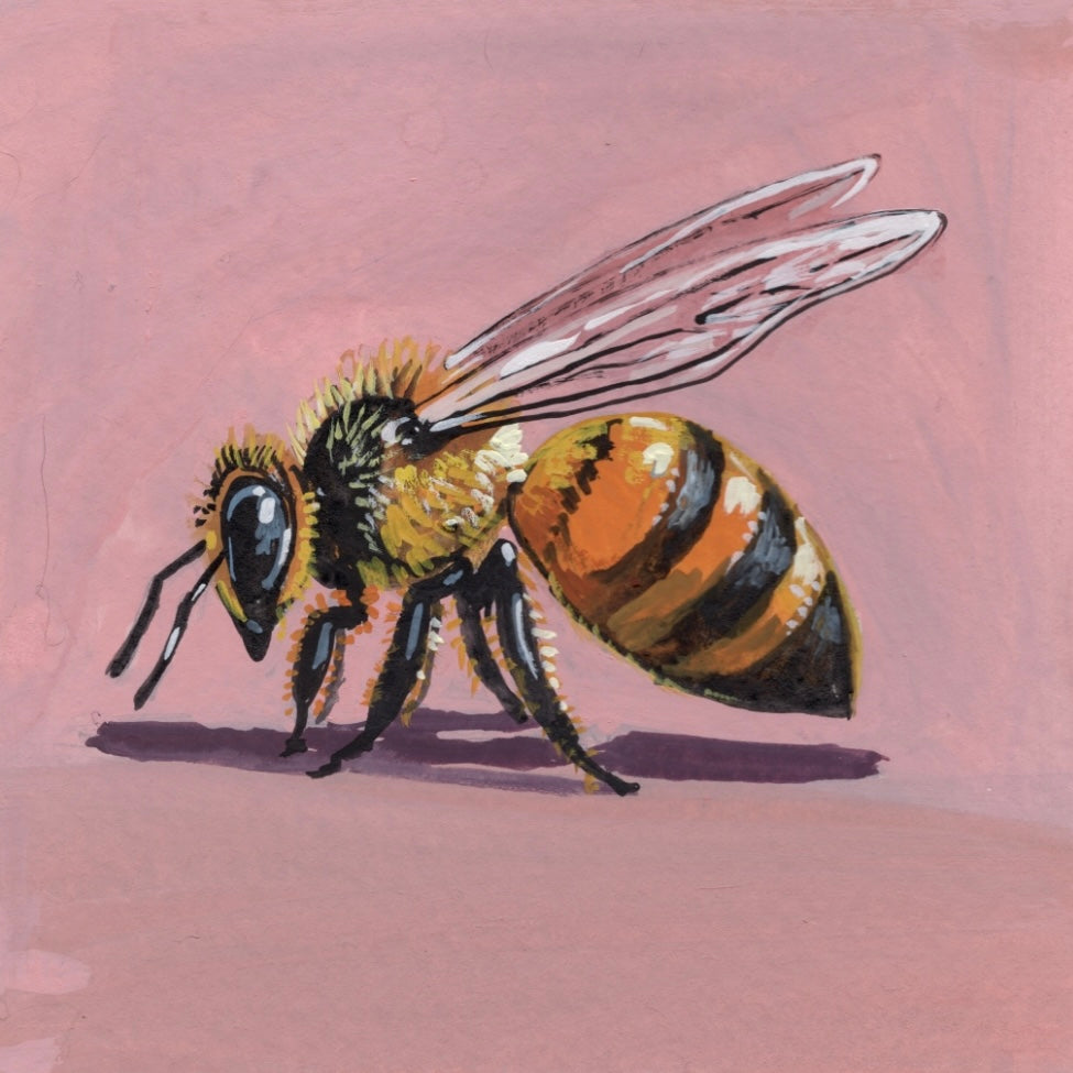 Mini Honey Bee