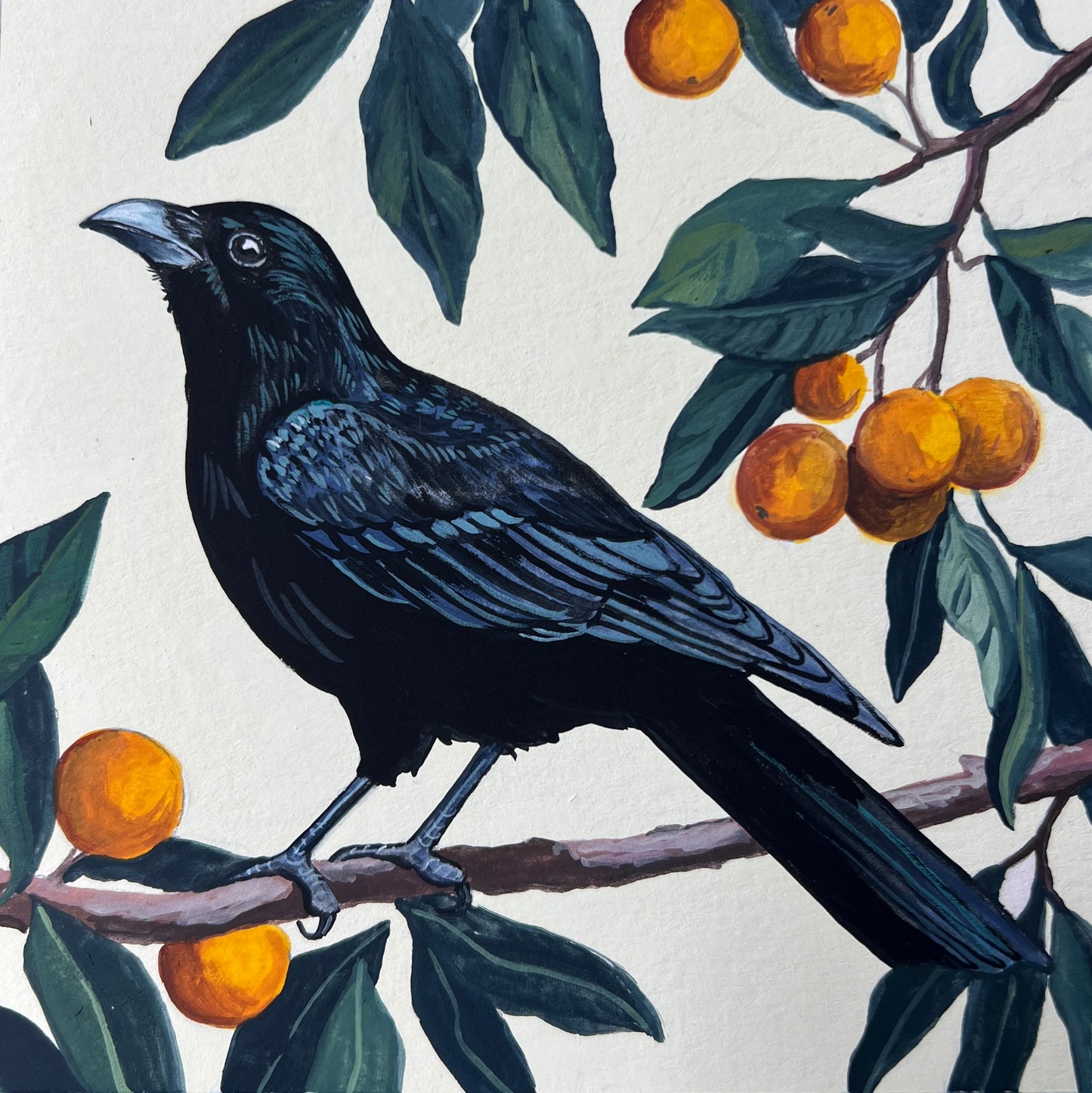 Autumn Crow