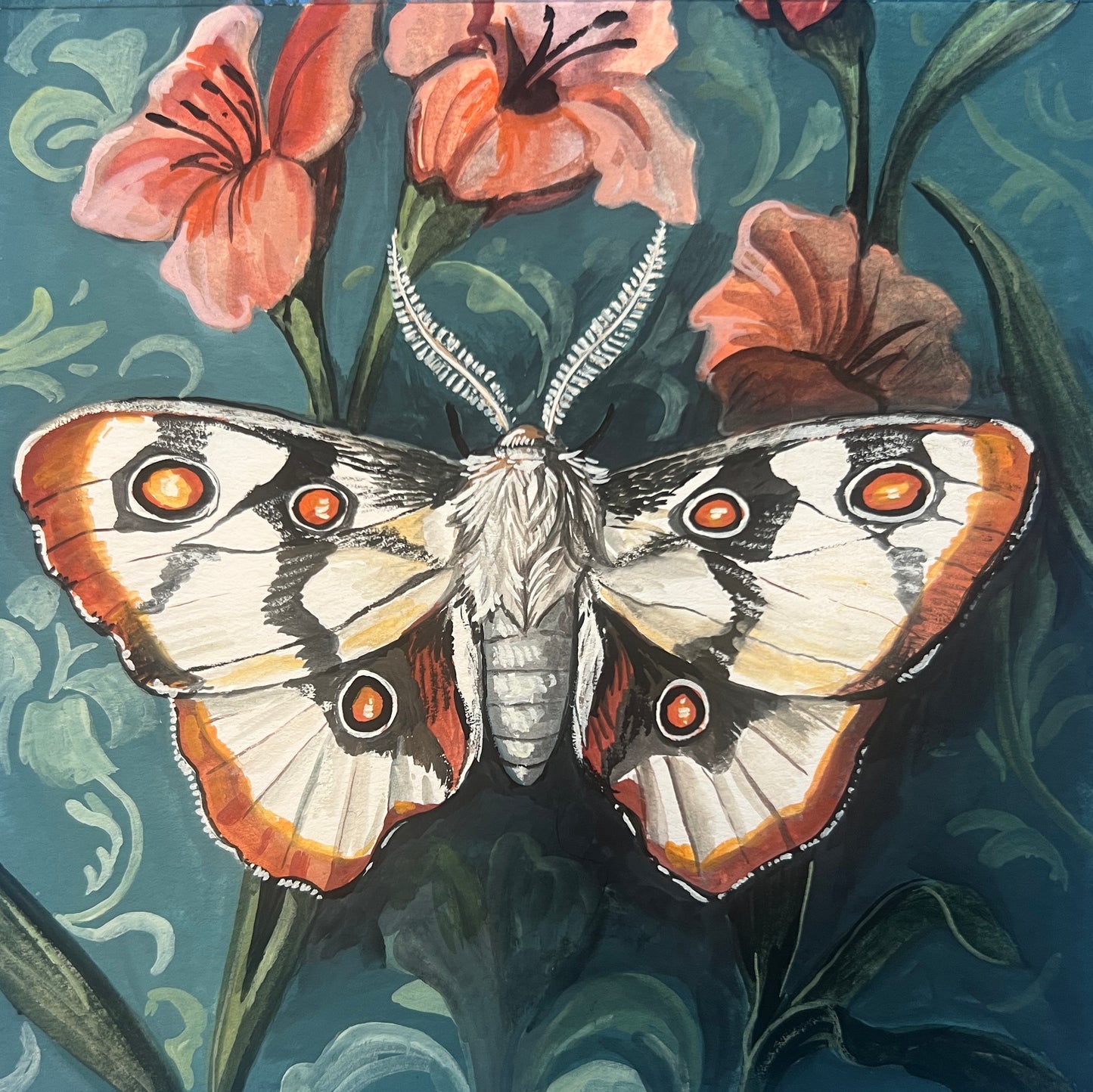 Moth