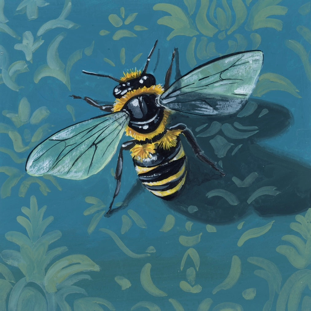 Little Bee