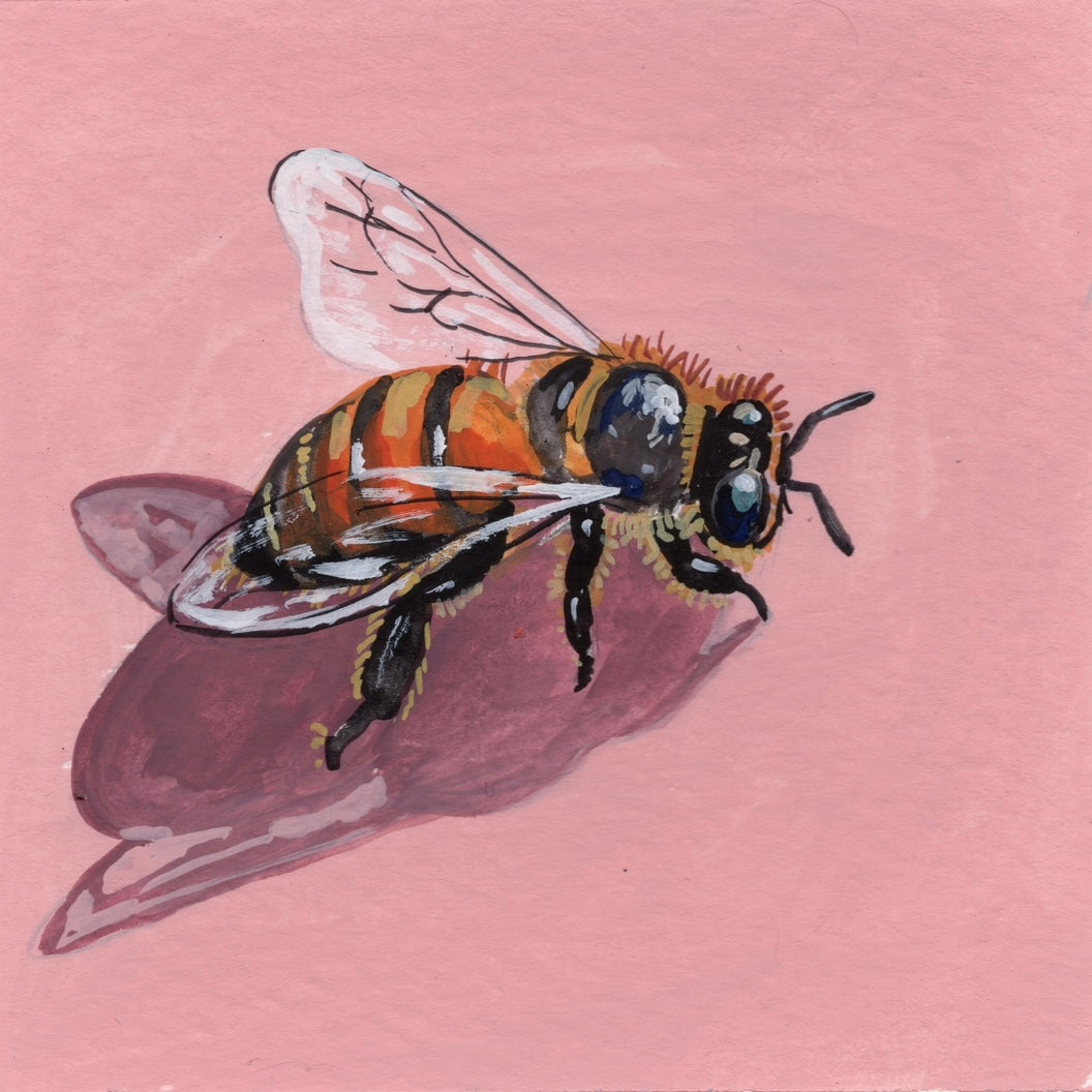 Mini Bee