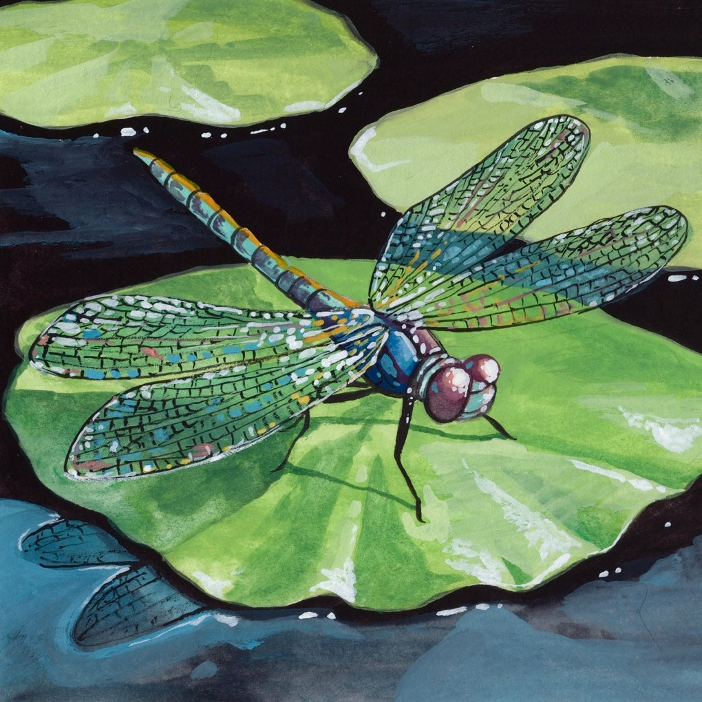 Dragonfly