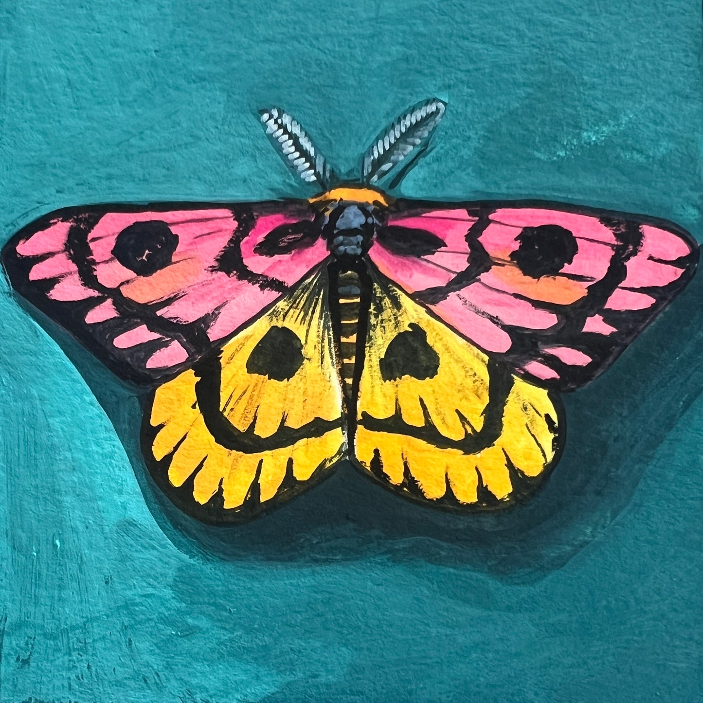 Mini Moth #2