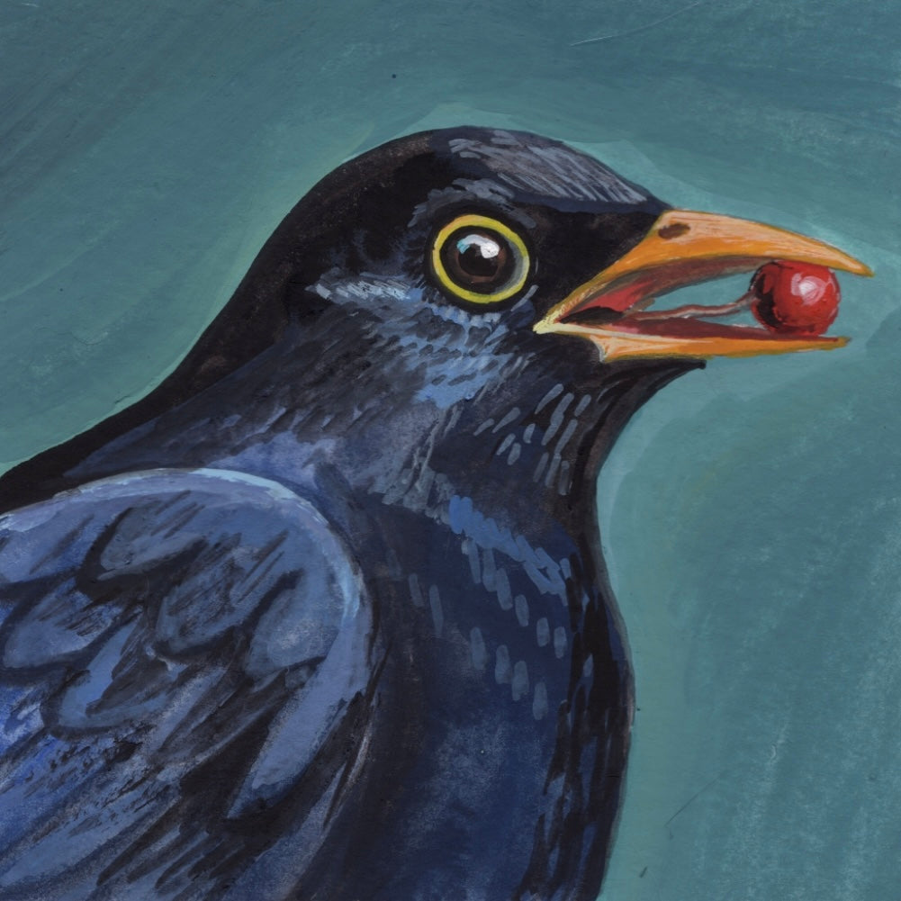 Mini Blackbird