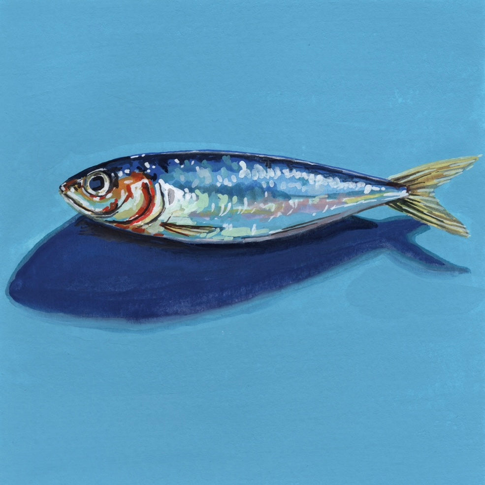 Little Fish