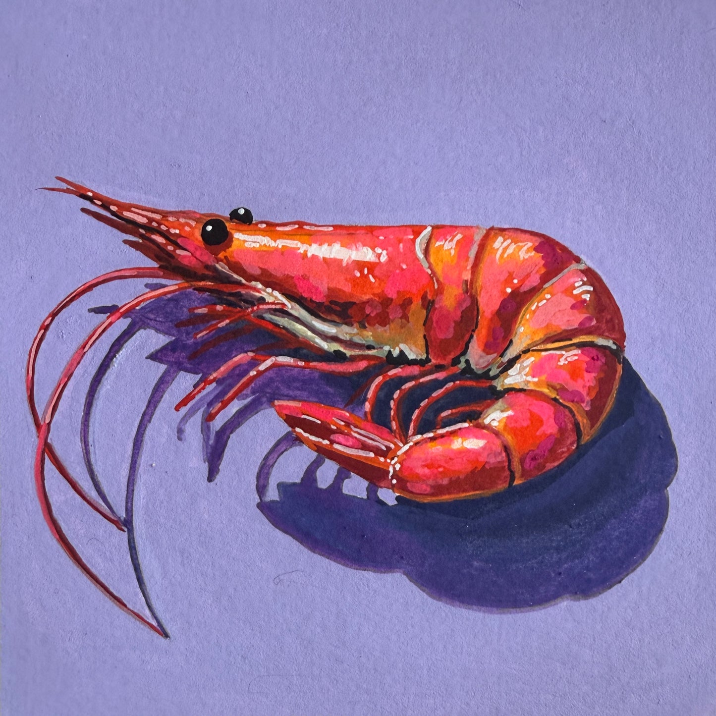 Prawn Star