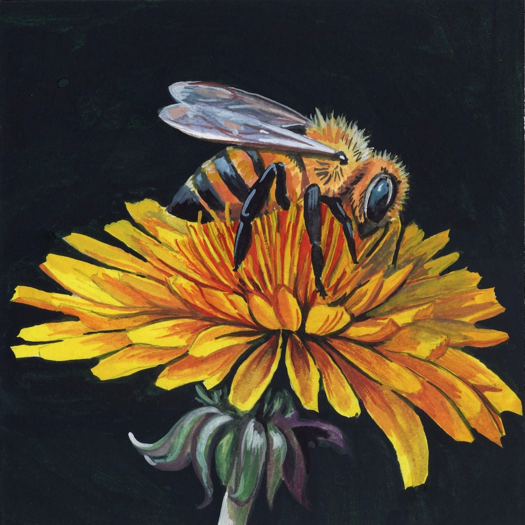 Collecting Pollen