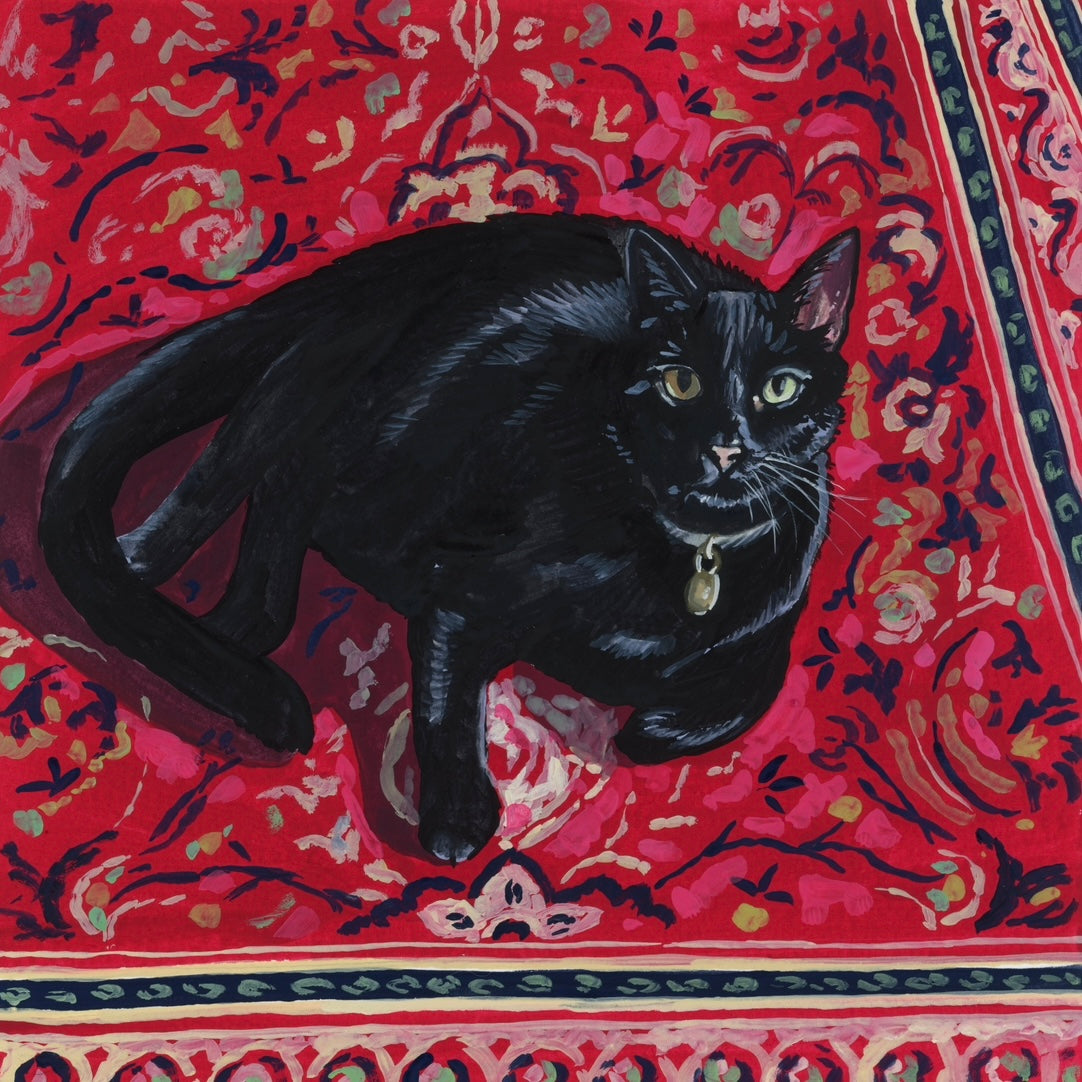 Black Velvet 8x8