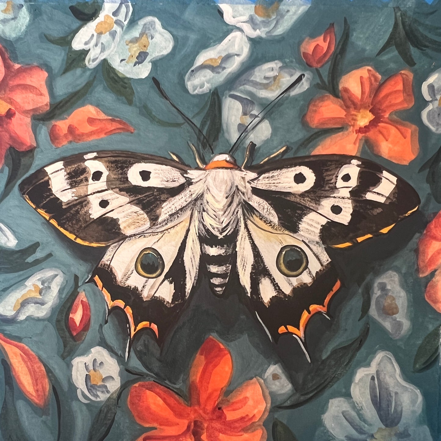 November Moth