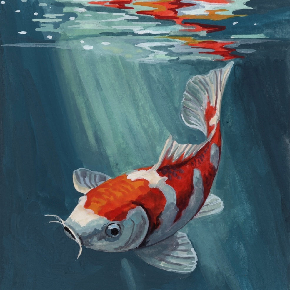 Diving Koi
