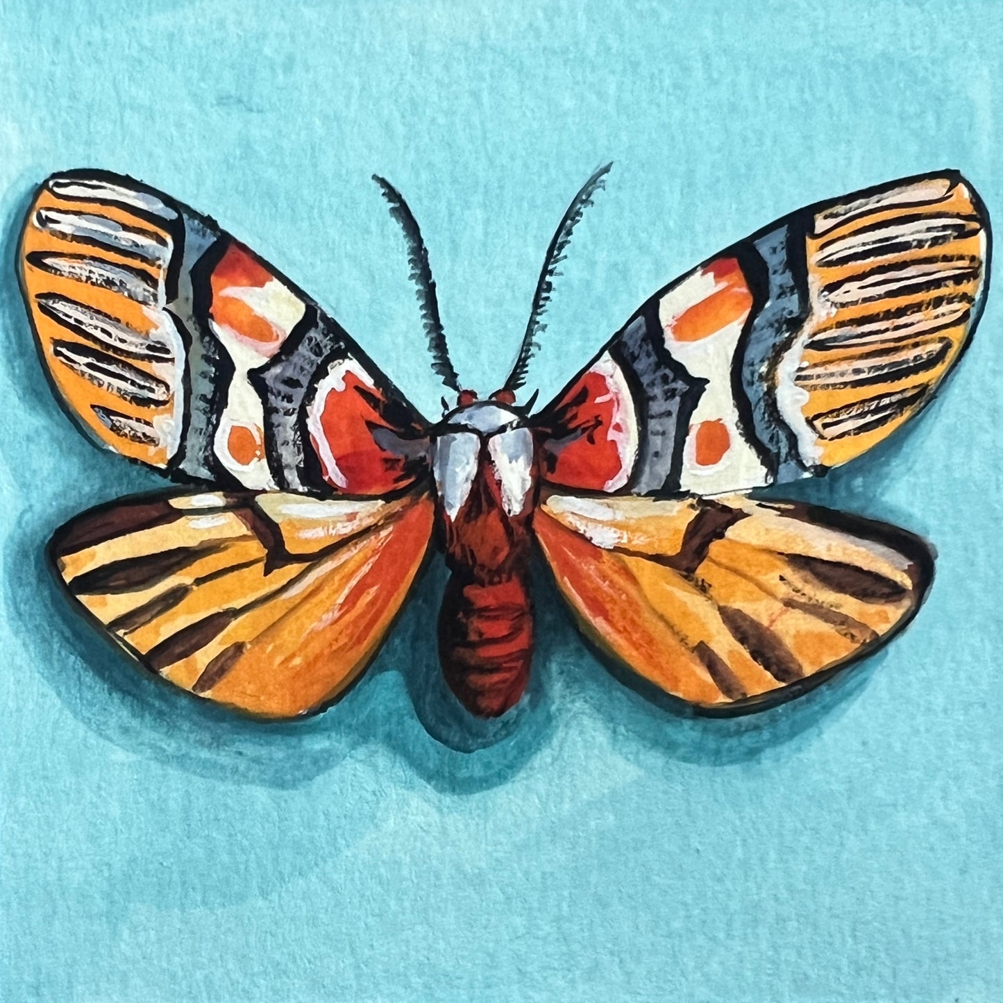 Mini Moth #4