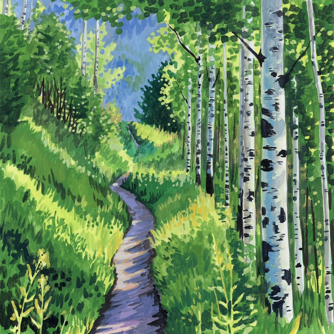 Through the Aspens 8x8