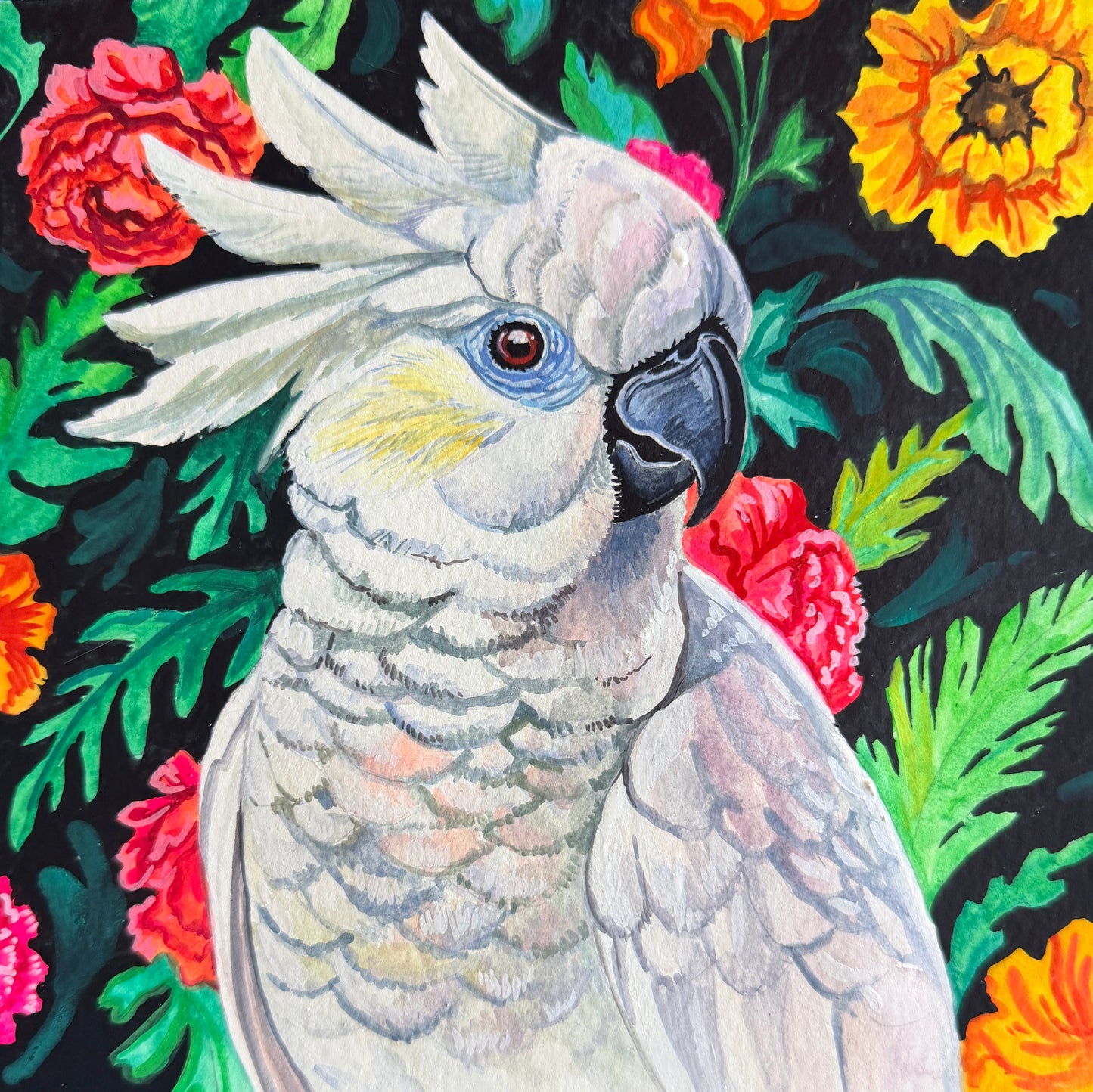 Cockatoo Blooms 8x8