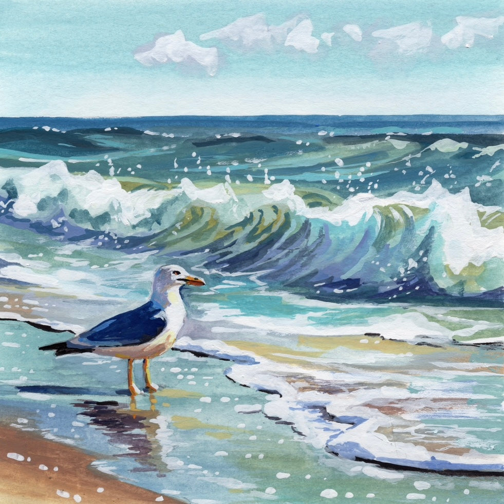 Seashore