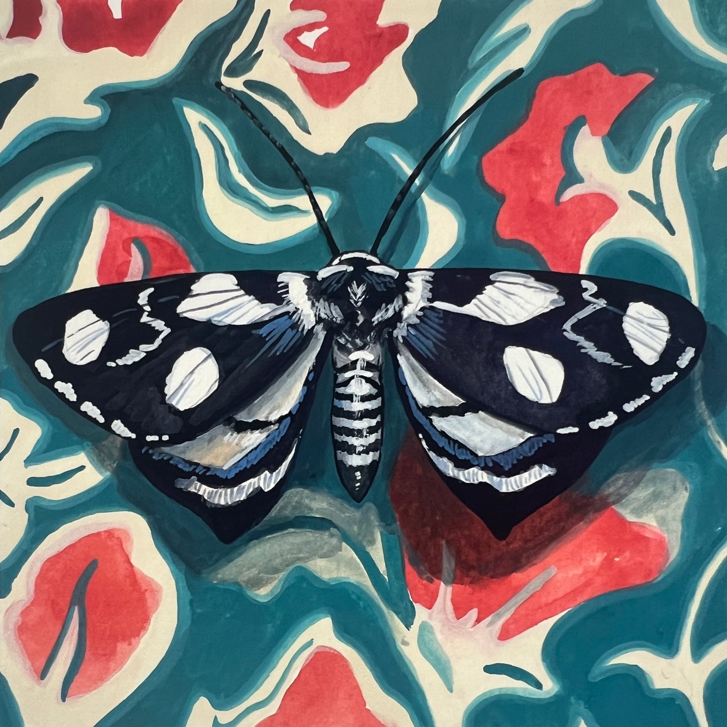 Midnight Moth