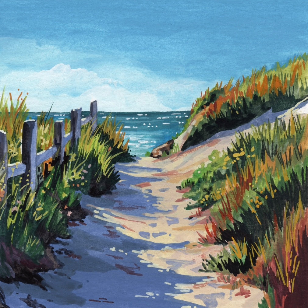 Salt Breeze