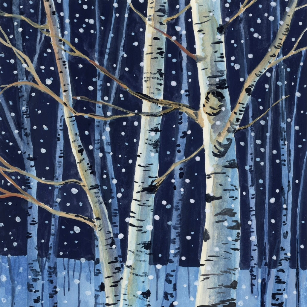 Snowy Night in the Forest