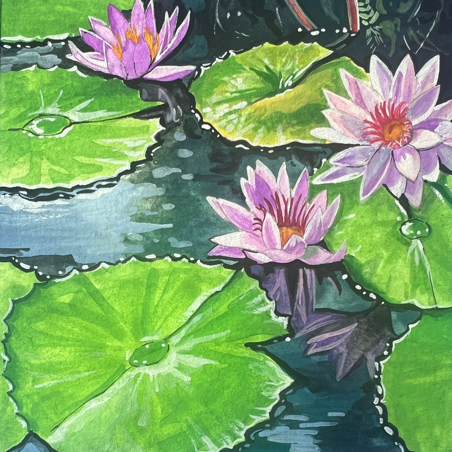 Water Lilies