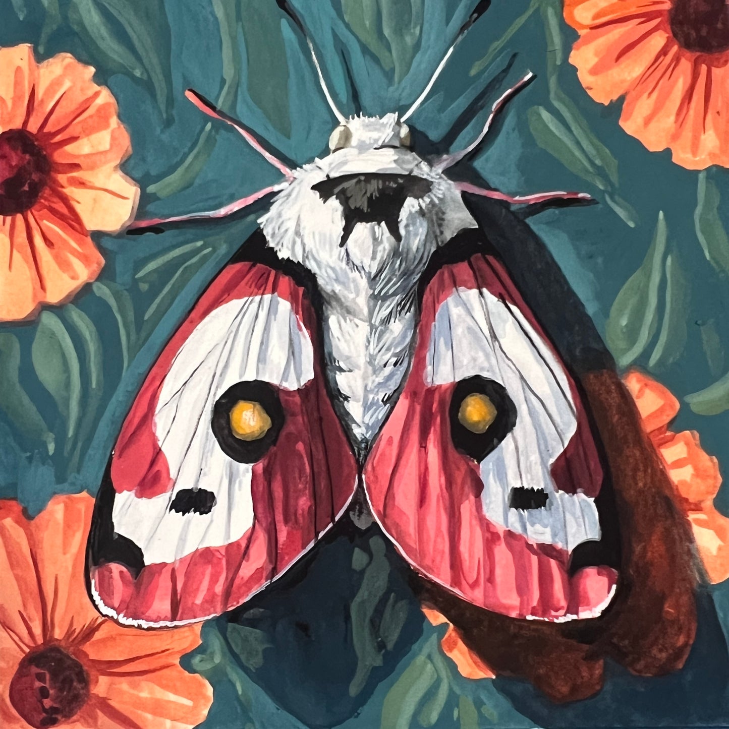 Floral Moth