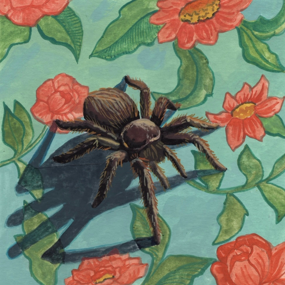 Arachnophilia