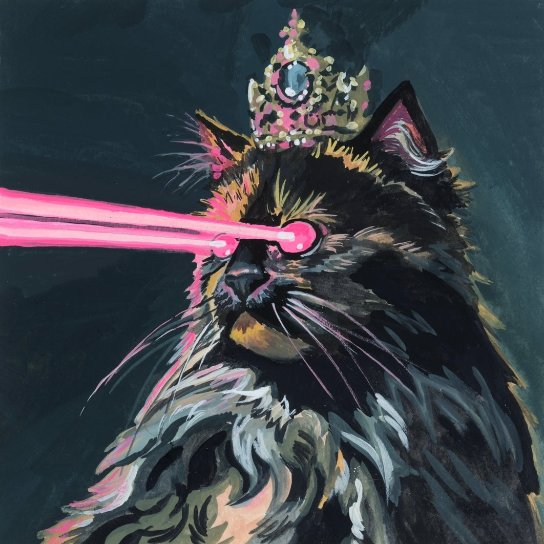 Princess Donut