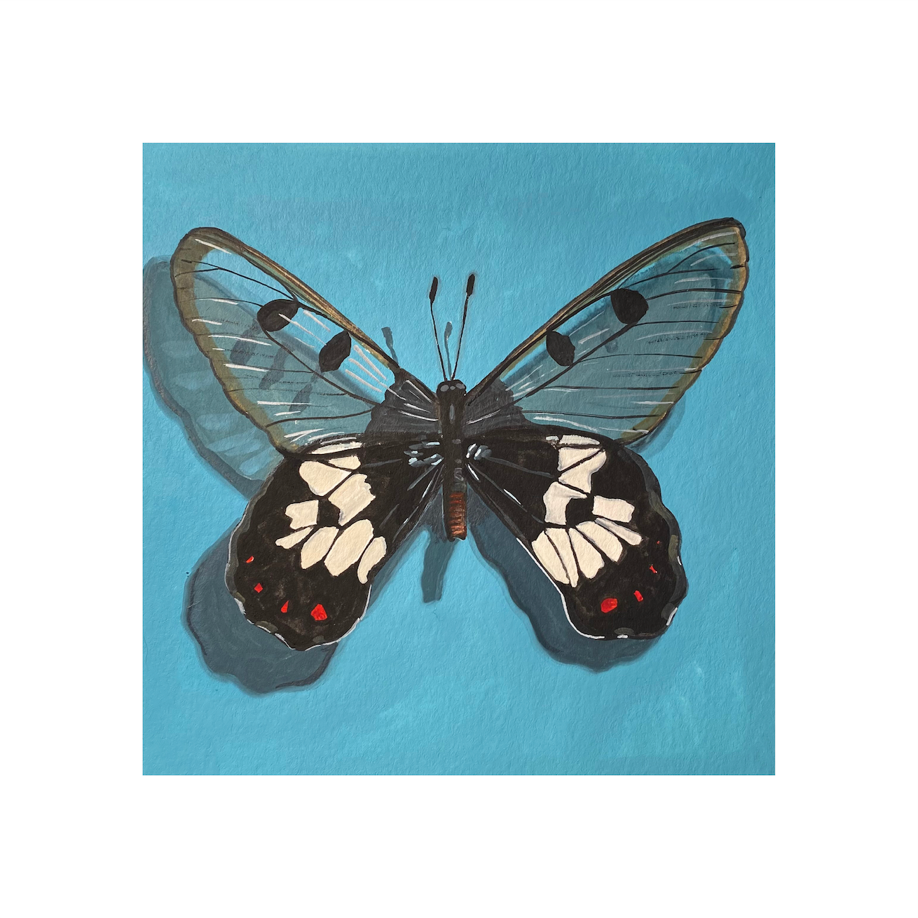 Butterfly Print