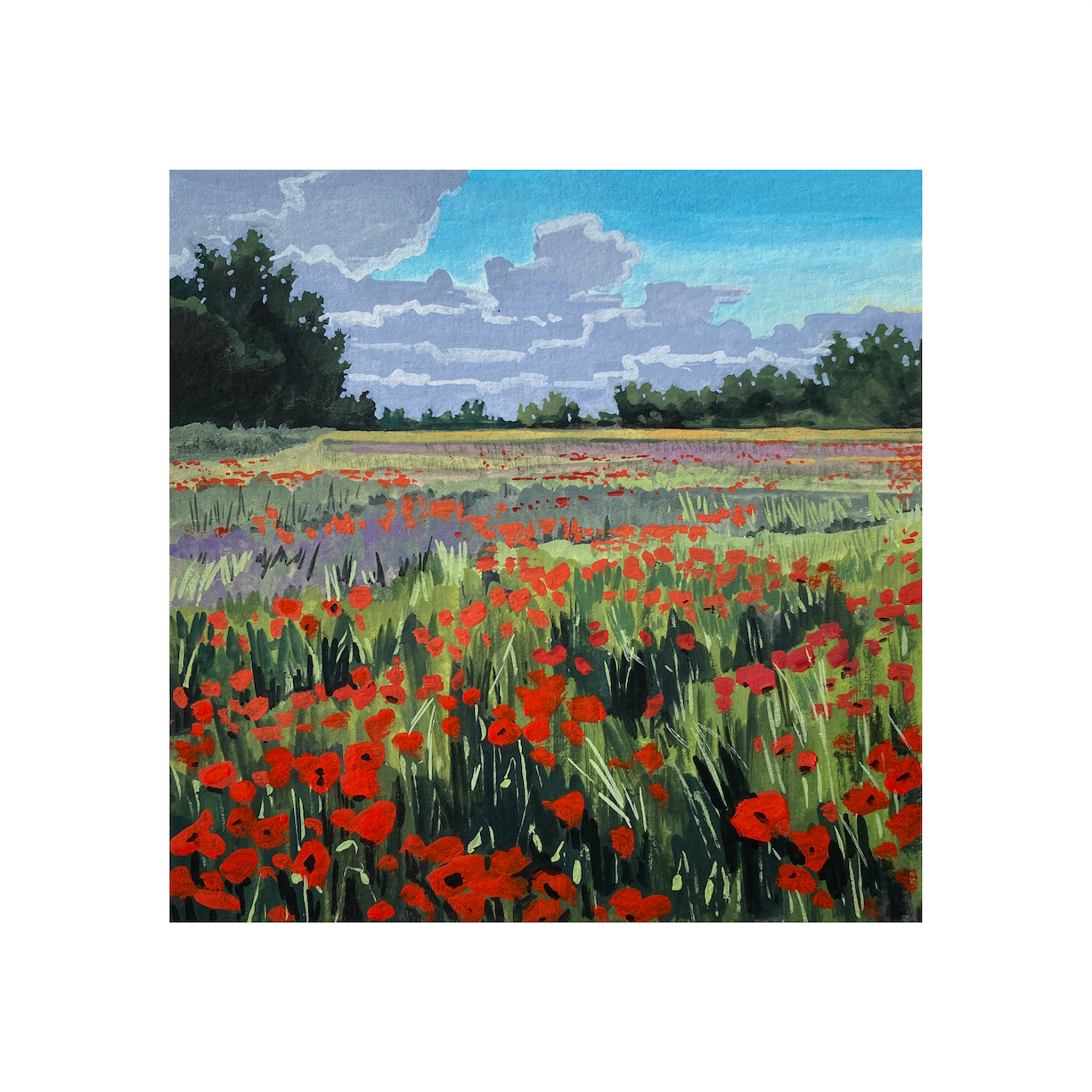 Field of Poppies Print