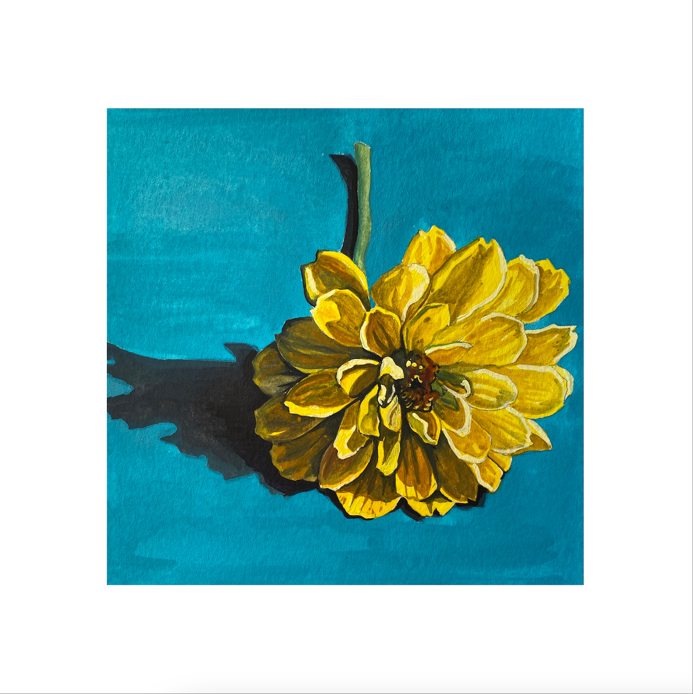 Yellow Zinnia Print