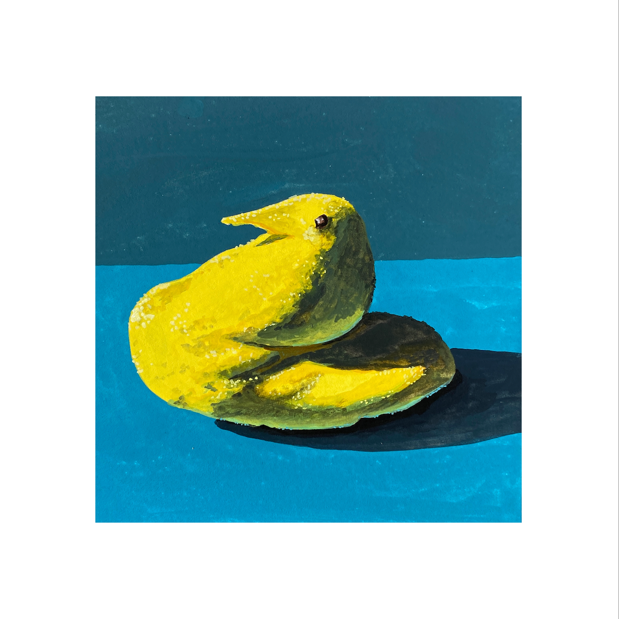 Yellow Peep 6x6 Print