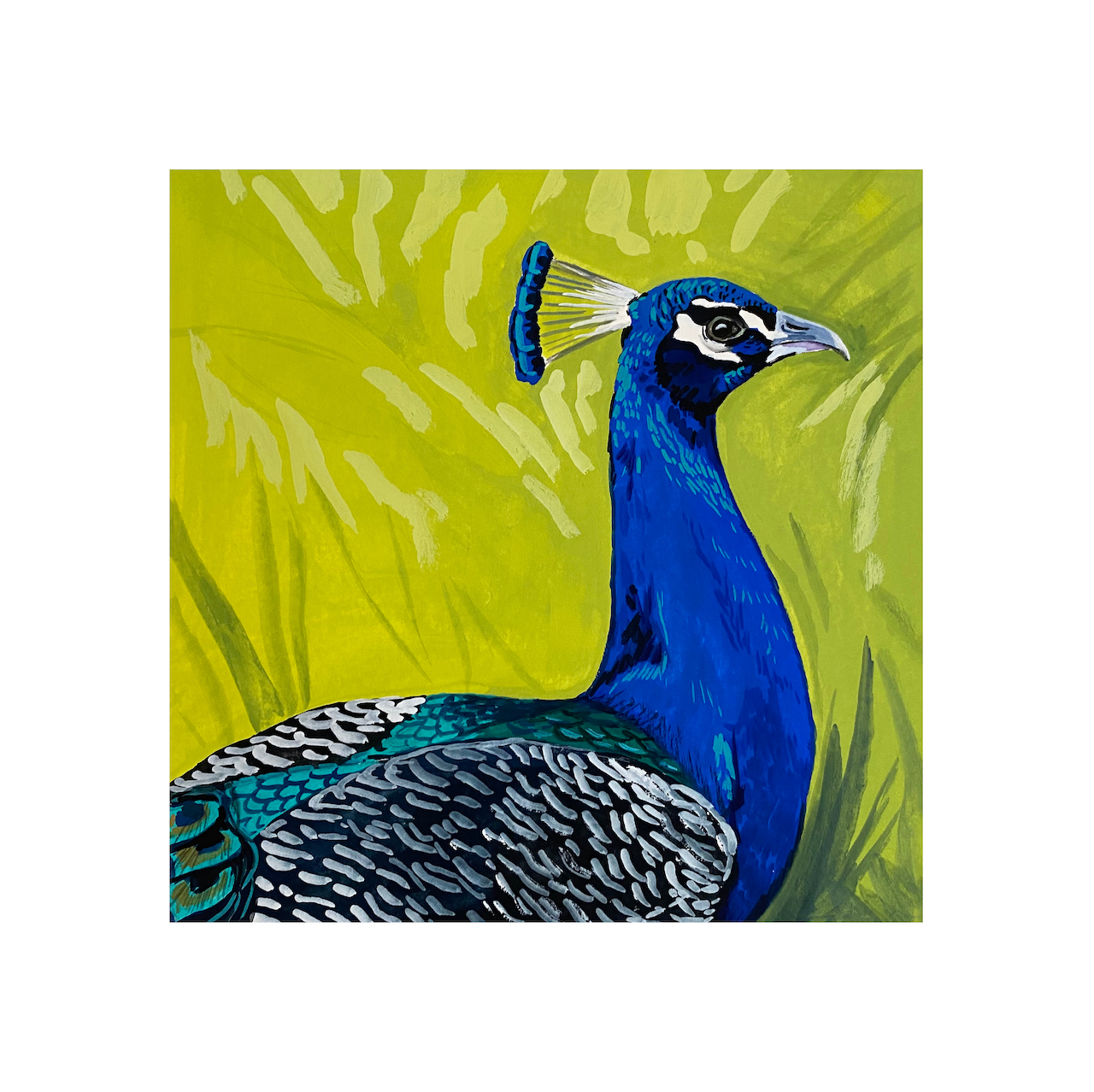 Peacock Print