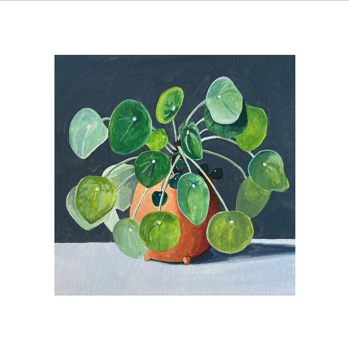 Pilea Print