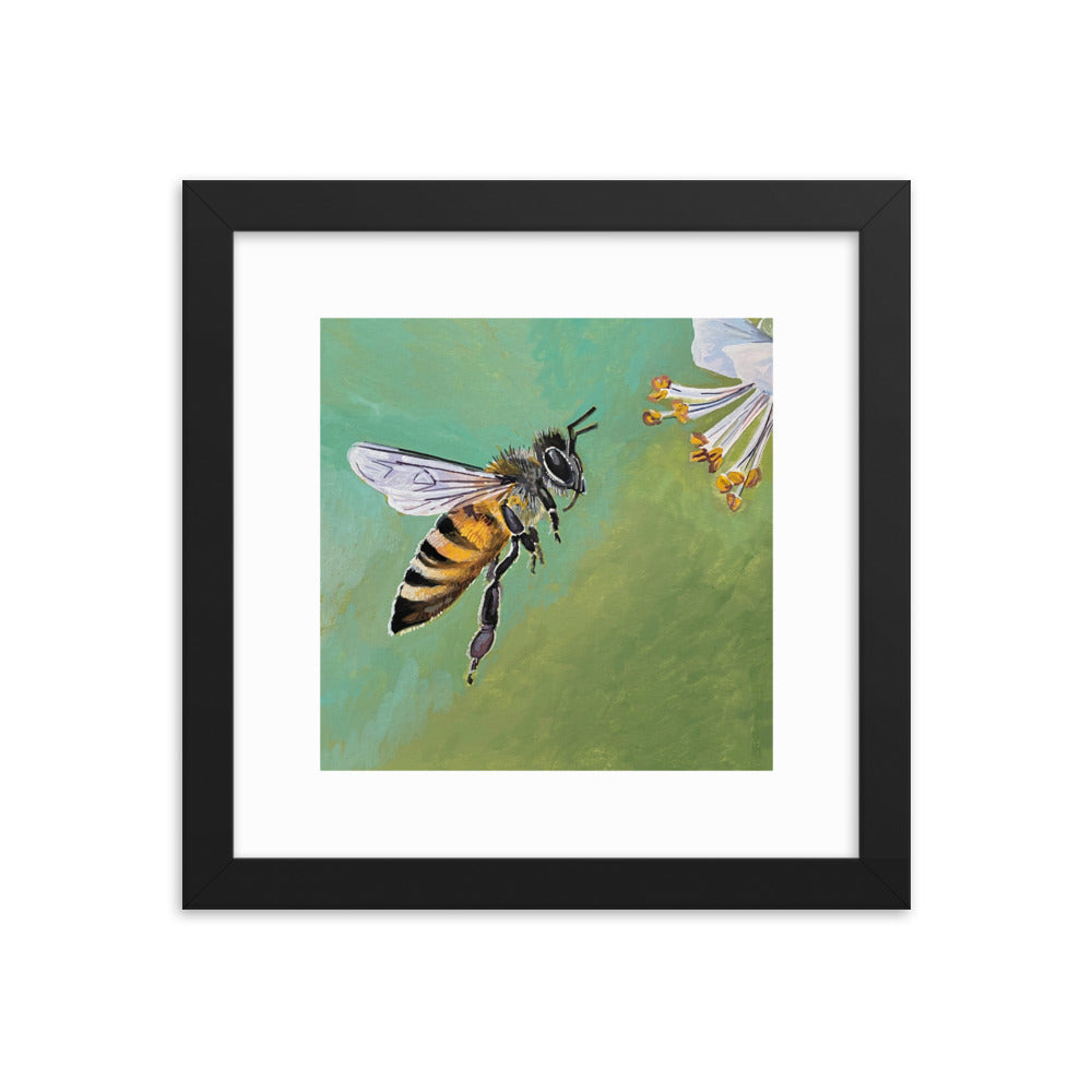 Bee Framed Print