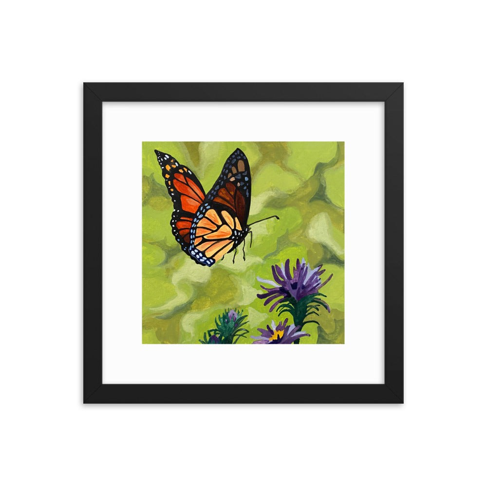 Butterfly Framed Print