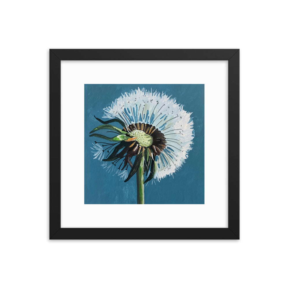 Dandelion Framed Print