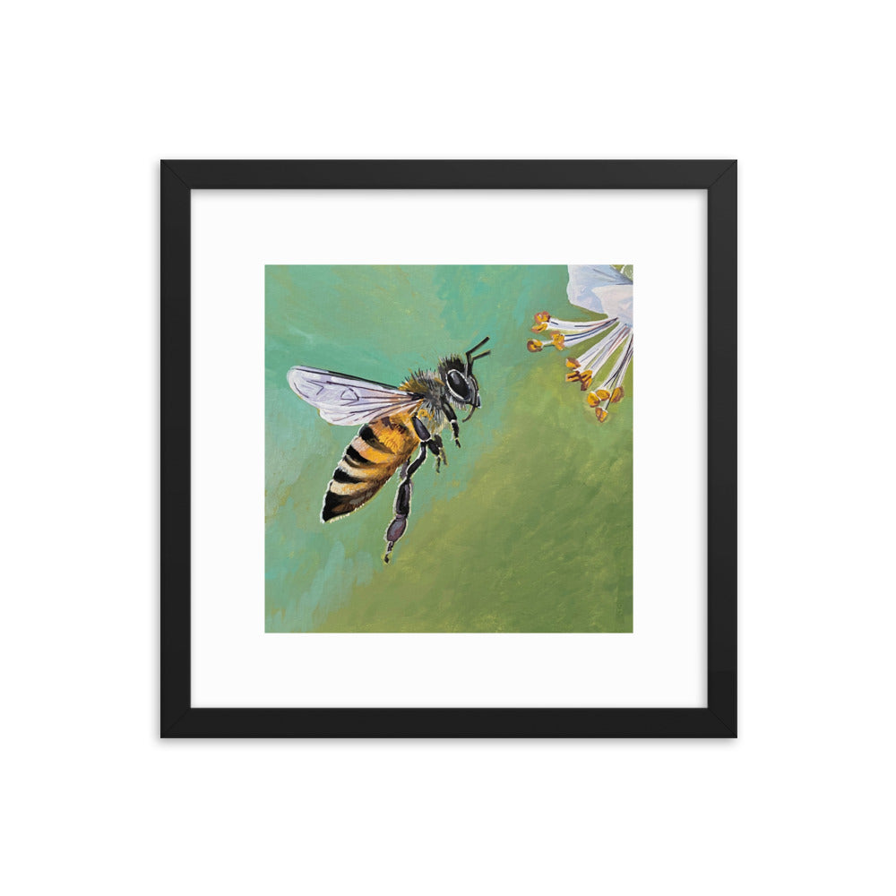 Bee Framed Print