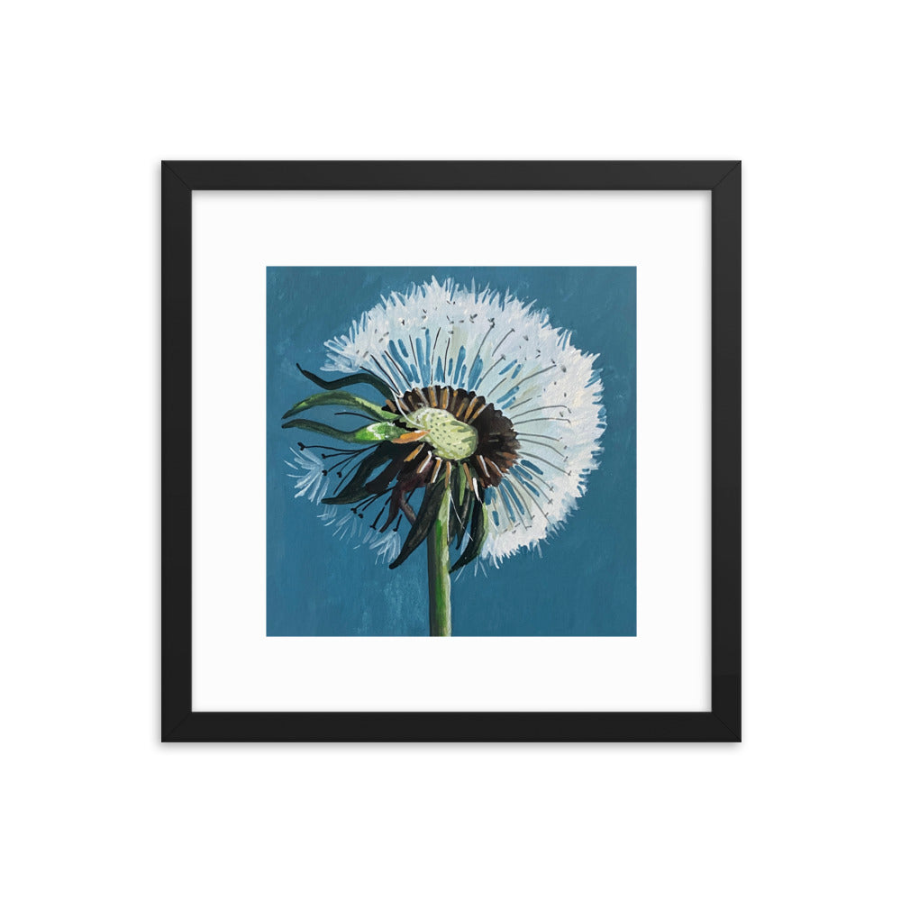 Dandelion Framed Print