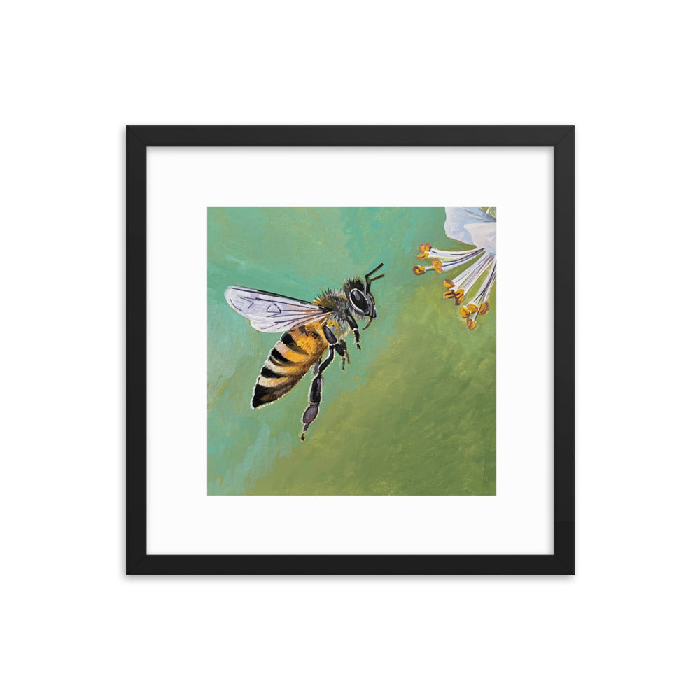 Bee Framed Print
