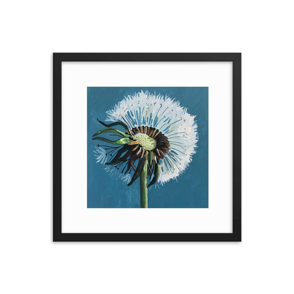 Dandelion Framed Print