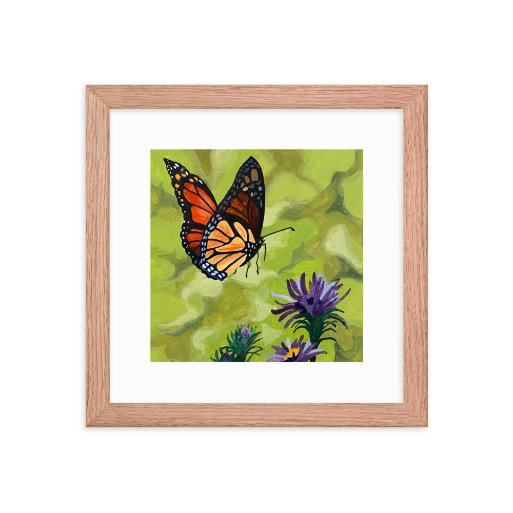 Butterfly Framed Print