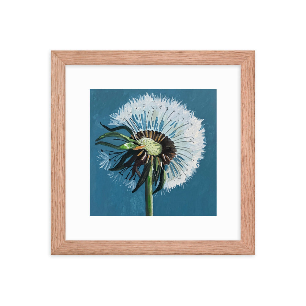Dandelion Framed Print