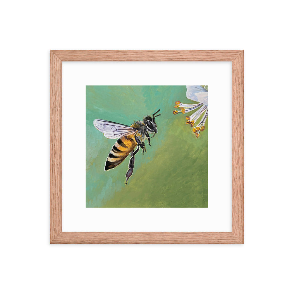 Bee Framed Print
