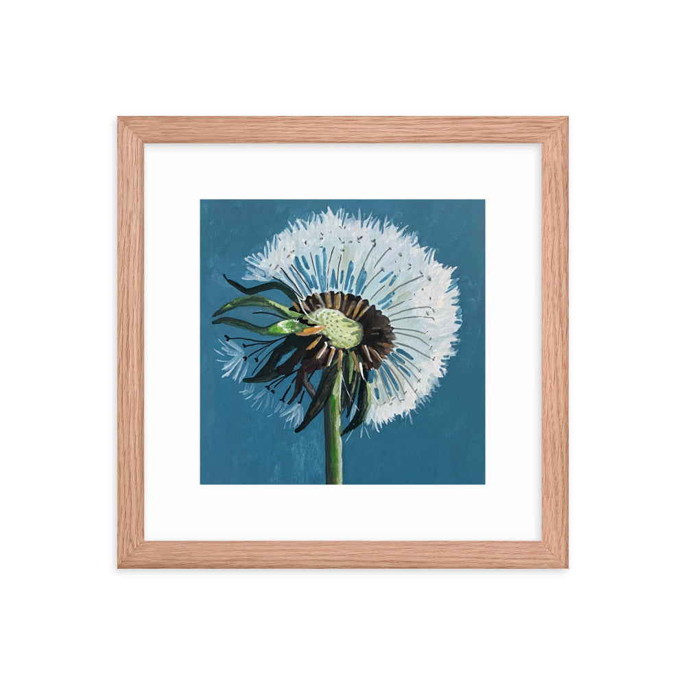 Dandelion Framed Print