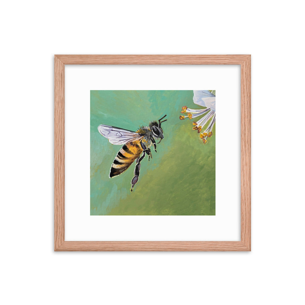 Bee Framed Print