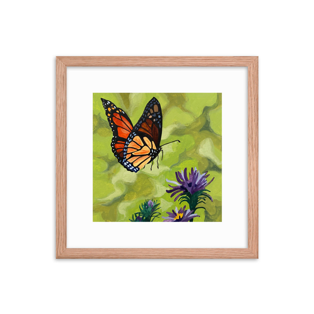 Butterfly Framed Print