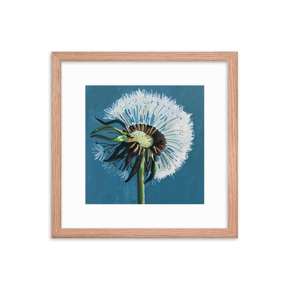Dandelion Framed Print
